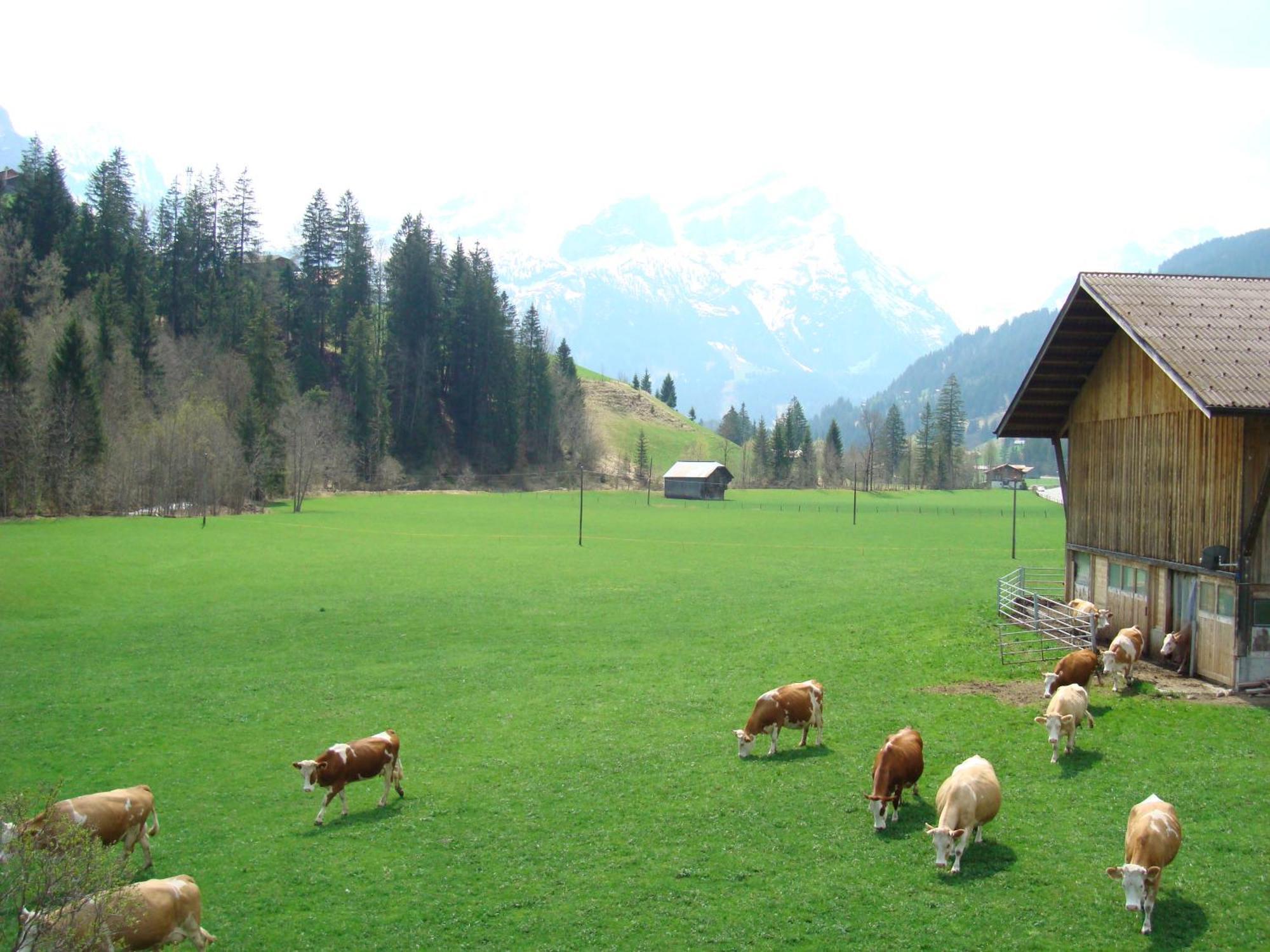 Appartement Casa Antica à Gstaad Extérieur photo