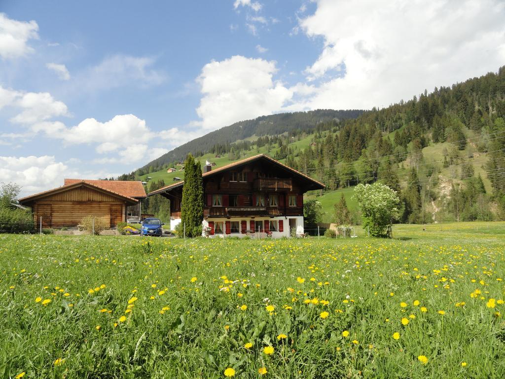 Appartement Casa Antica à Gstaad Extérieur photo